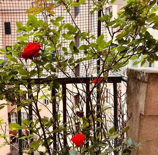 Un Piacevole Turistico Appartement